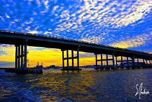 Blue Heron Bridge sunset ..... North America's Muck Divin... by Steven Anderson 